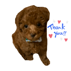 ken_20200715014853