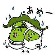 Mr. and Mrs. Broad Beans