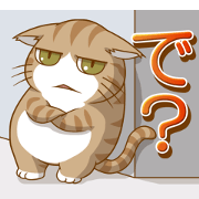 Sassy fatty cat