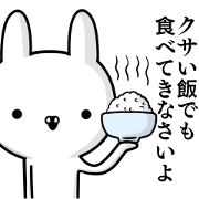 Suspect rabbit 6