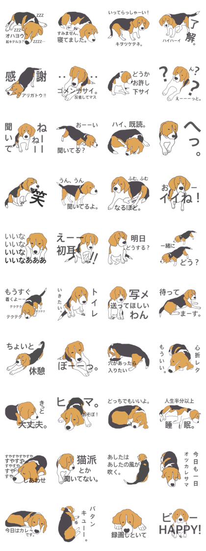 I love my beagle! 2