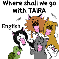 Where shall we go with TAIRA EV