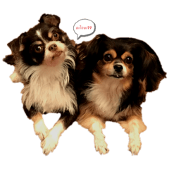 smile_20200714194315