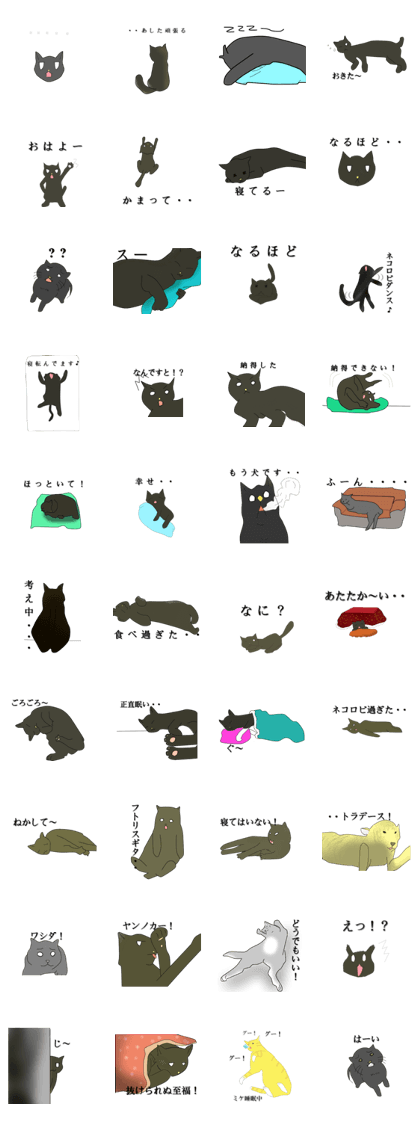 Funny Pals  and comical black cat