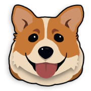 Mochi the Corgi