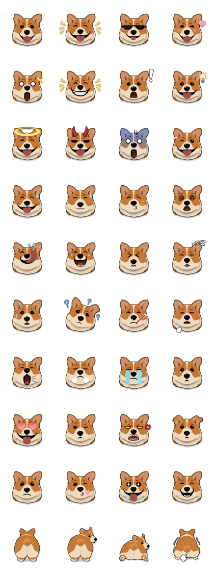 Mochi the Corgi