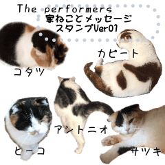 Family Cat and Message Sticker Ver01