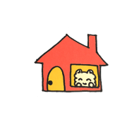 chat bonbon dog