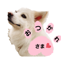 kayo_20200714233144