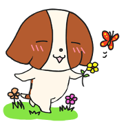 Popo The Beagle Puppy