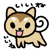 japanese Dog-Shiba Wanko