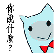 Lord Cat-Playful Cat