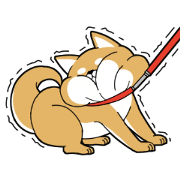 DAME SHIBA2