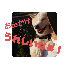 monaka_20200714015808
