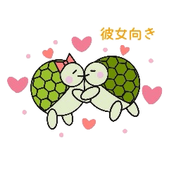 Love Love turtle