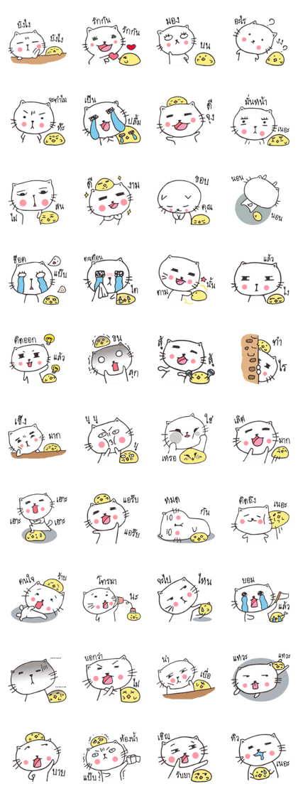 Catto and Chicky