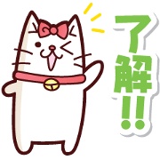 a white cute cat