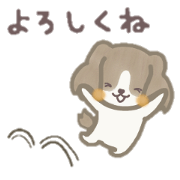 wanwanmaru