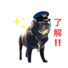 SUMIRE_20200715114655