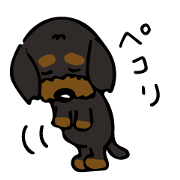 The wire dachshund which is a fatty2