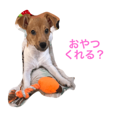 tetsu_20200714171843