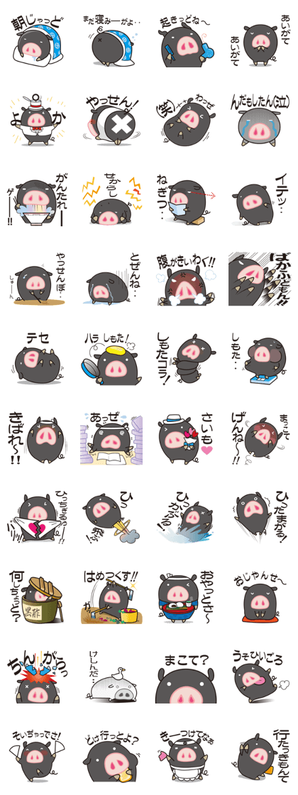 Satsuma of KUROBUTA-kun 3