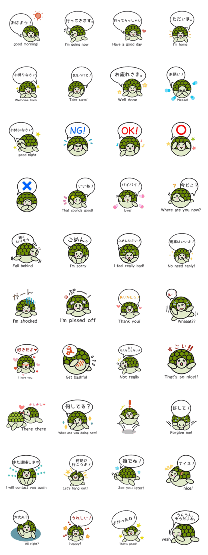 Love Love turtle men