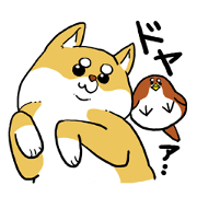 Sticker of pretty Japanese midget Shiba