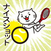 Very white cat to play tennis 2