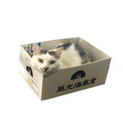 fujimitsu