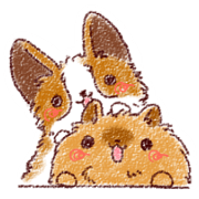 Dog is cute