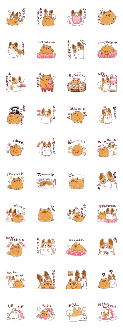 Dog is cute
