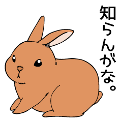 handsome rabbit's sticker
