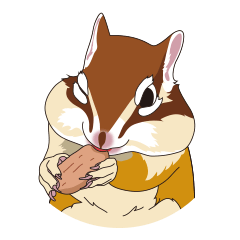 シマリス モカちゃんのメッセージ Line スタンプ Line Store シマリス モカちゃんのメッセージ Line スタンプ Line Store