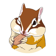 Message of chipmunk