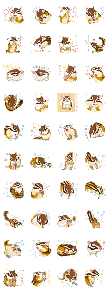 Message of chipmunk