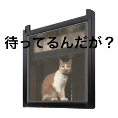 SUZU_20200714164830