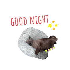 Praew_20200714192147 - LINE スタンプ | LINE STORE