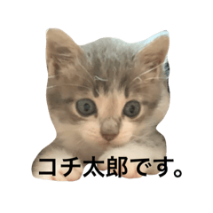 nozomi_20200714203156