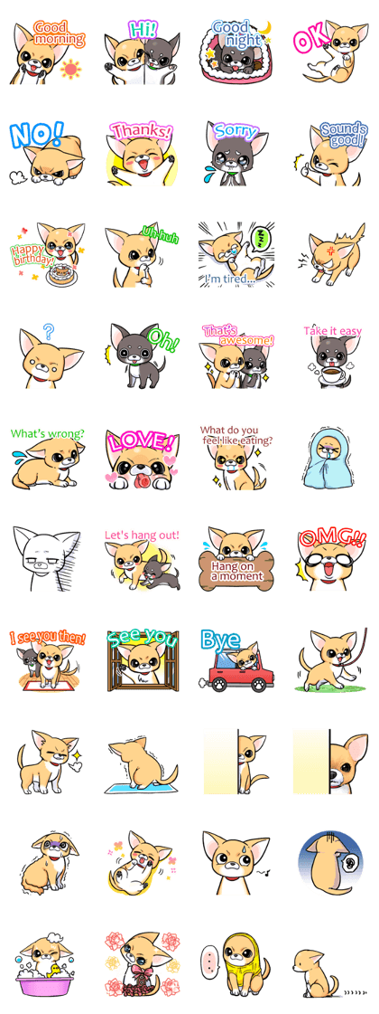 Together with Chihuahua!(English ver.)