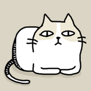 cool cool cat