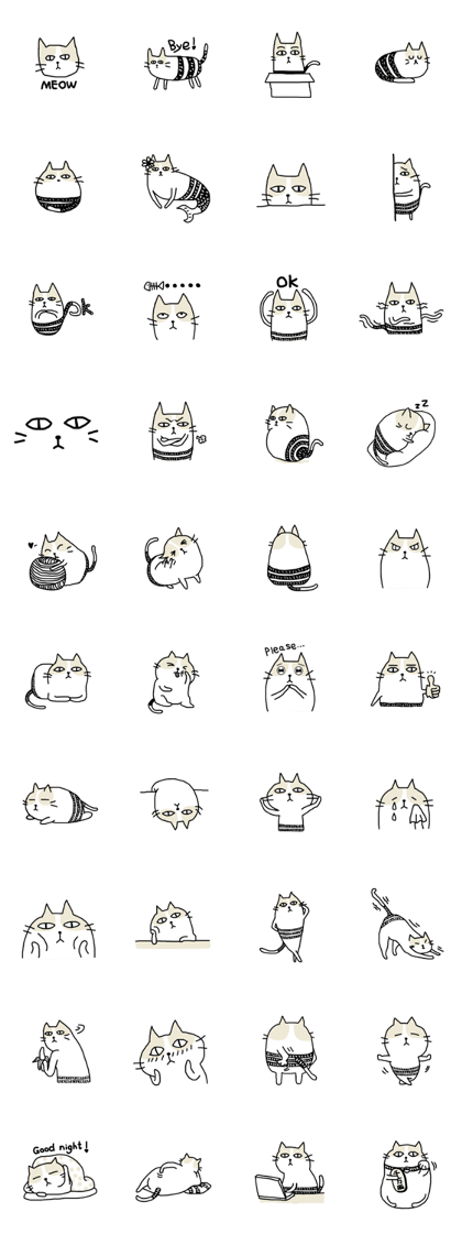 cool cool cat