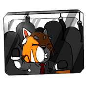 Lesser panda (Office)