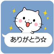 The cat which can communicate cutely