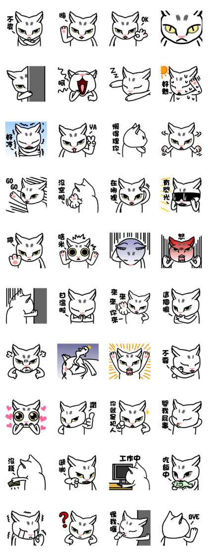 accurate cat