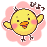 Funny round bird