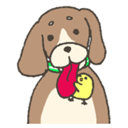 Good friend dog and chick