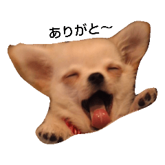 pokopoko_0721