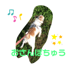 yun_20200714234344