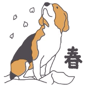 I love my beagle! 3